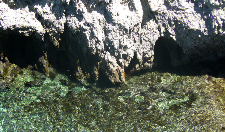 Grotte calcaree nell'isola di San Domino